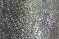 Fortrose fibreglass roof work